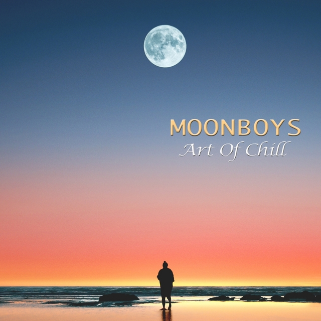 Couverture de Moonboys