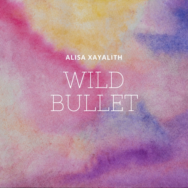 Couverture de Wild Bullet