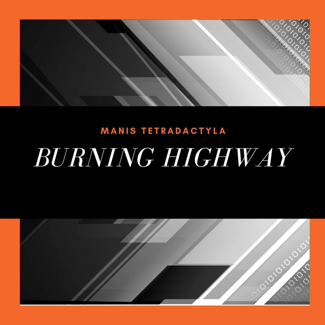 Burning Highway