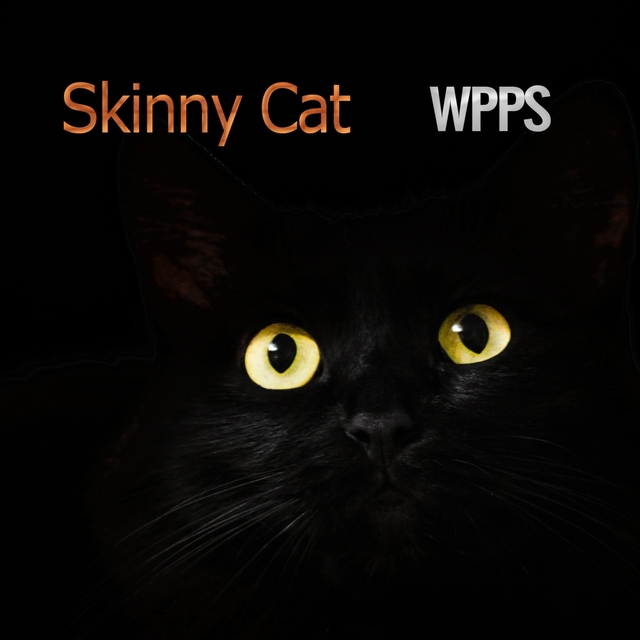 Skinny Cat