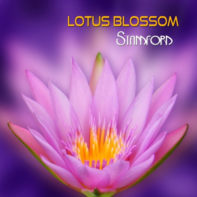 Lotus Blossom