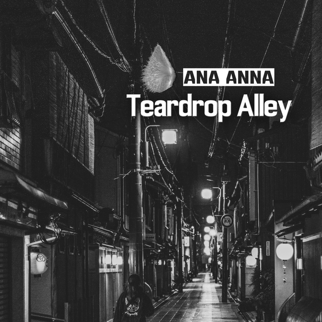 Couverture de Teardrop Alley