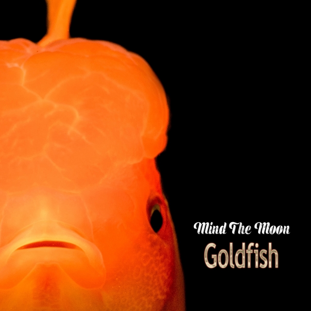 Couverture de Goldfish