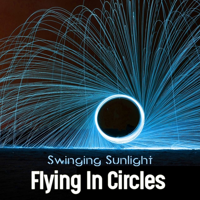 Couverture de Flying In Circles