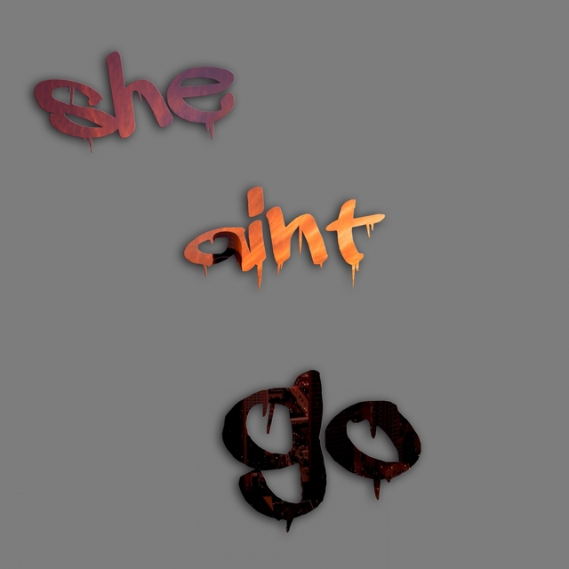 Couverture de She Aint Go