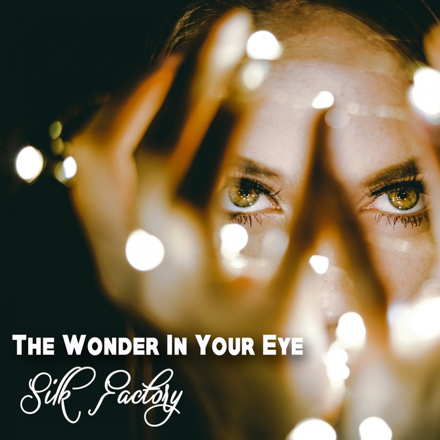 Couverture de The Wonder In Your Eye