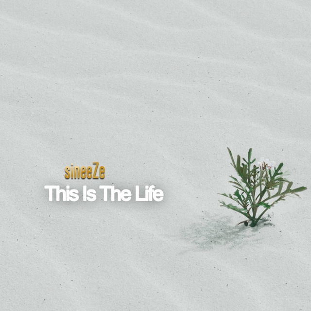 Couverture de This Is The Life