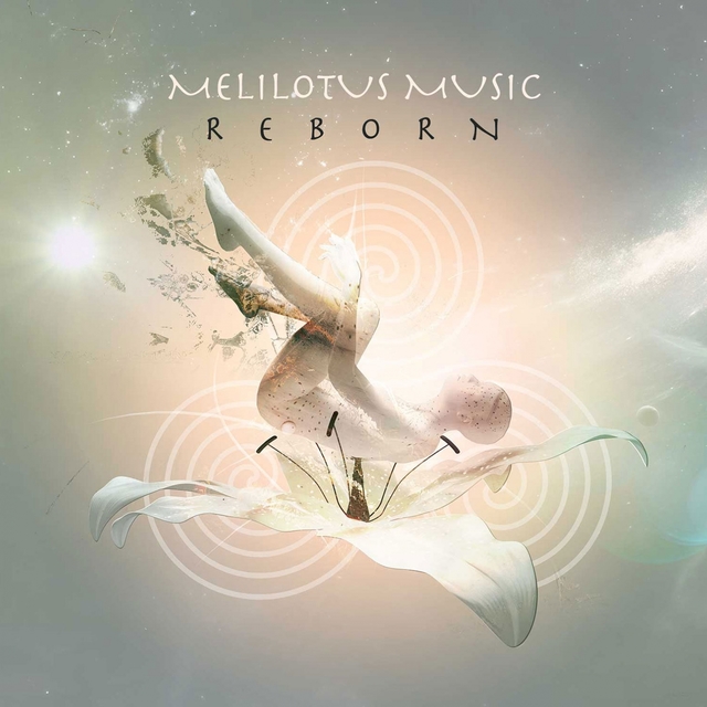 Couverture de Reborn