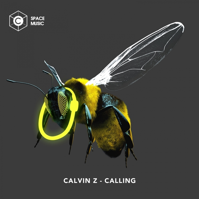 Couverture de Calling (Original Mix)