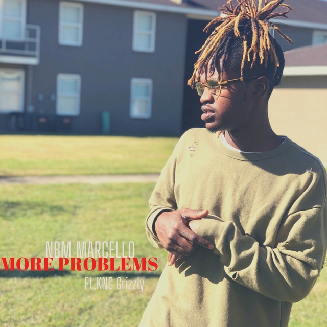 Couverture de More Problems