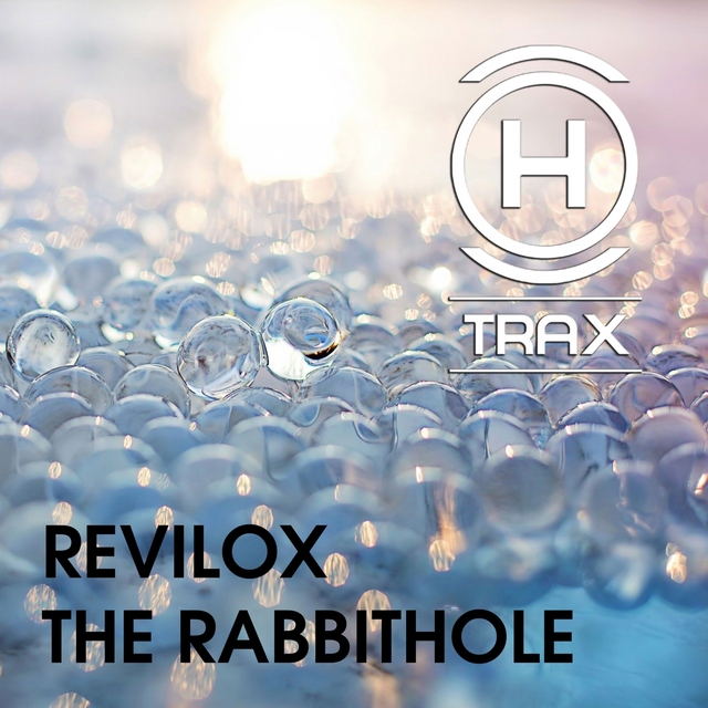 Couverture de The Rabbithole