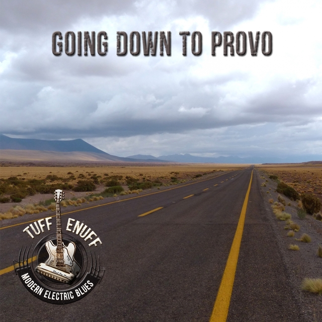 Couverture de Going Down To Provo