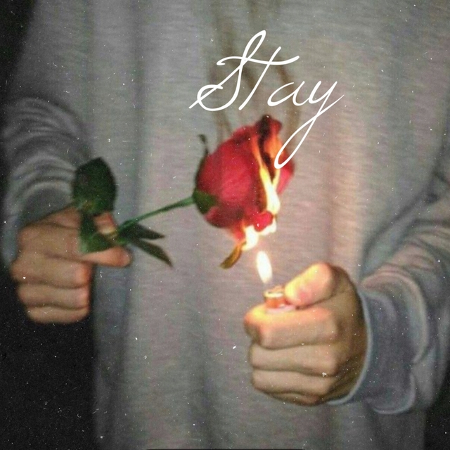 Stay