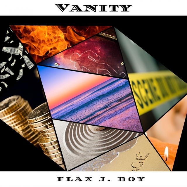 Couverture de Vanity