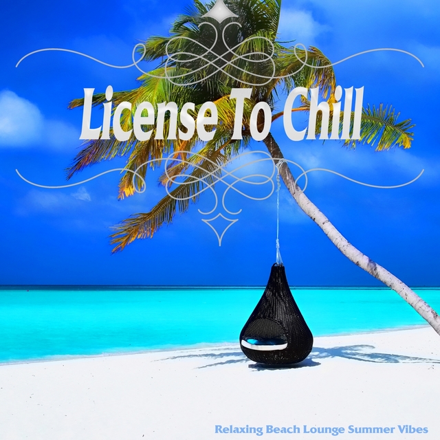 Couverture de License To Chill