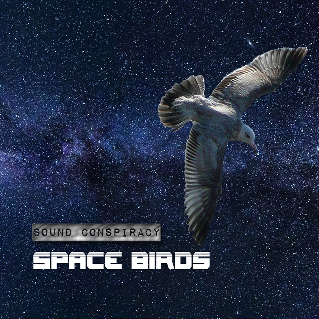 Space Birds