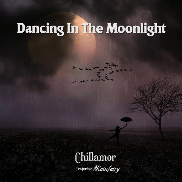 Couverture de Dancing In The Moonlight