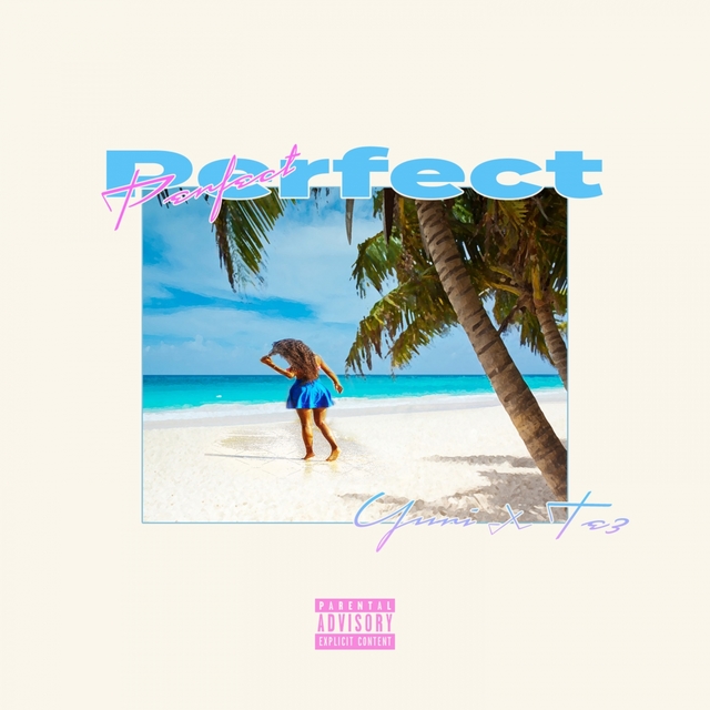 Couverture de Perfect