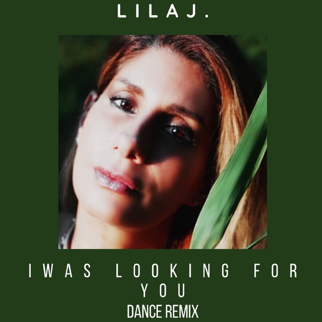 Couverture de I Was looking for you