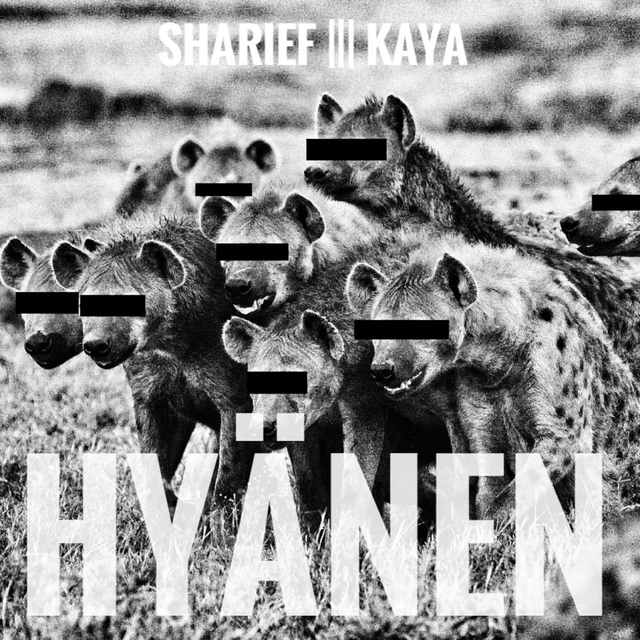 Couverture de Hyänen