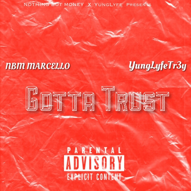 Couverture de Gotta Trust