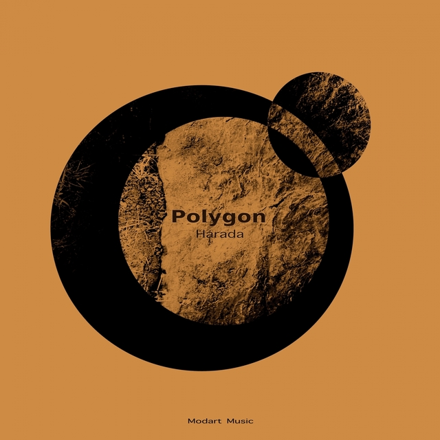 Couverture de Polygon