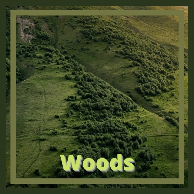 Couverture de Woods