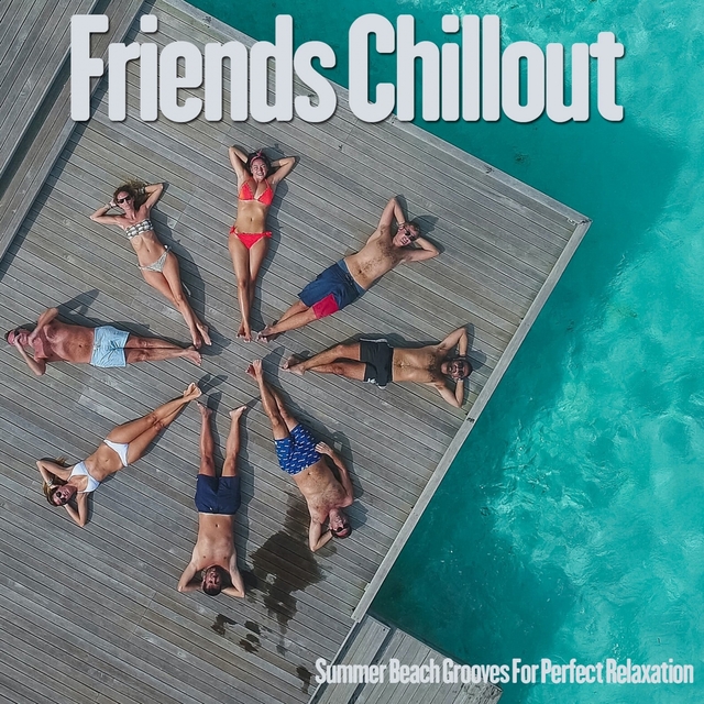 Couverture de Friends Chillout