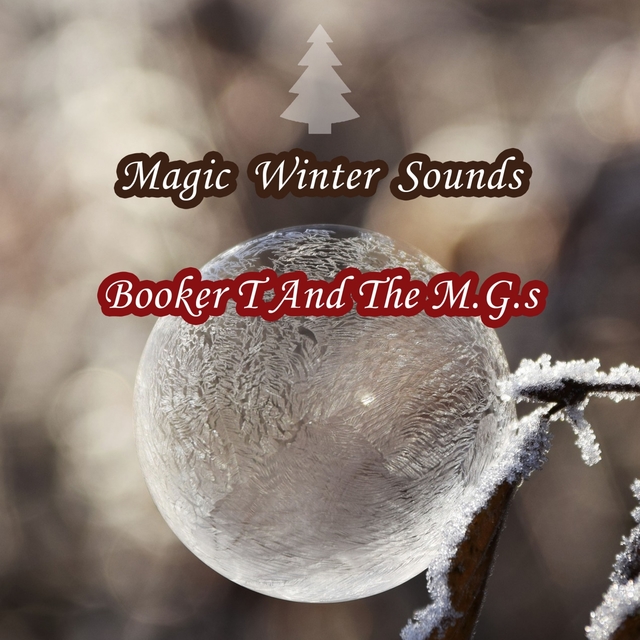 Magic Winter Sounds