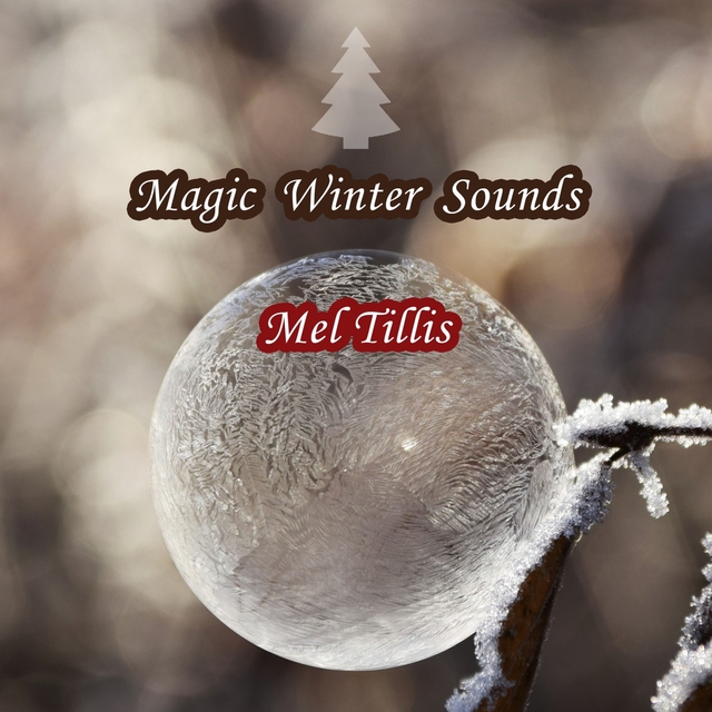 Couverture de Magic Winter Sounds