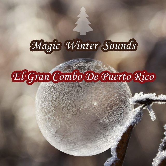 Magic Winter Sounds