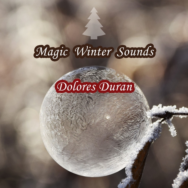 Couverture de Magic Winter Sounds