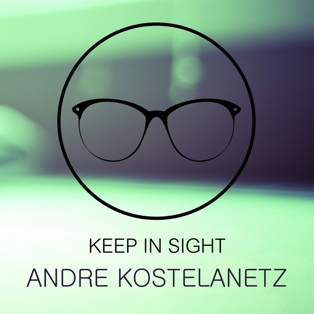 Couverture de Keep In Sight