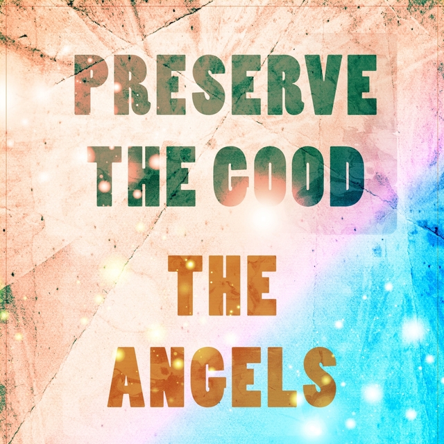 Preserve The Good