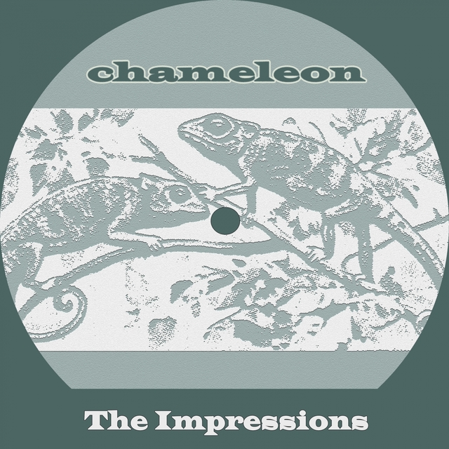 Couverture de Chameleon