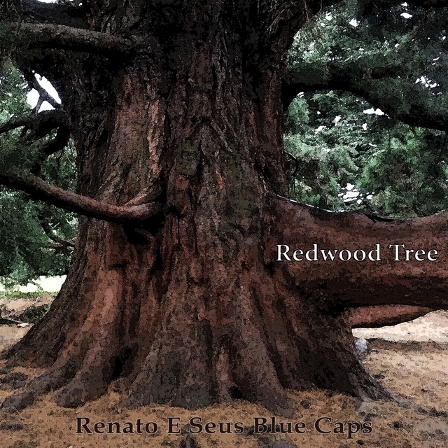 Couverture de Redwood Tree