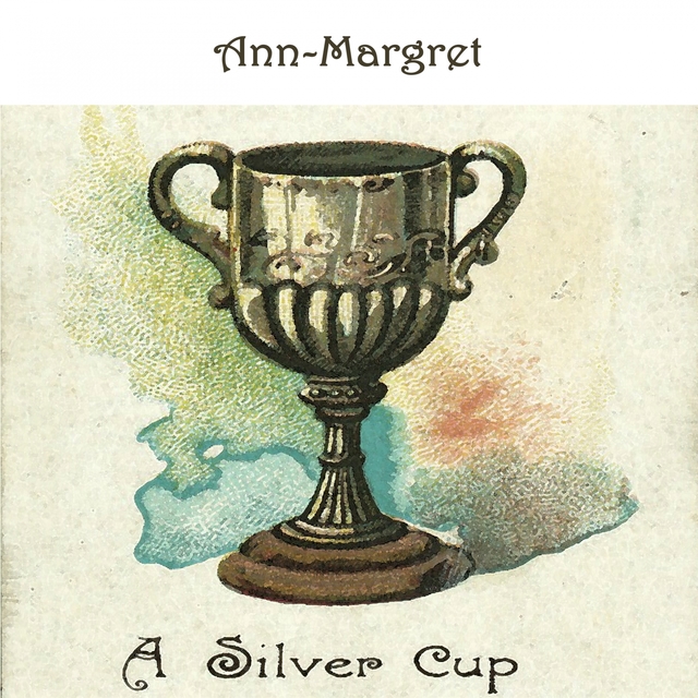 A Silver Cup