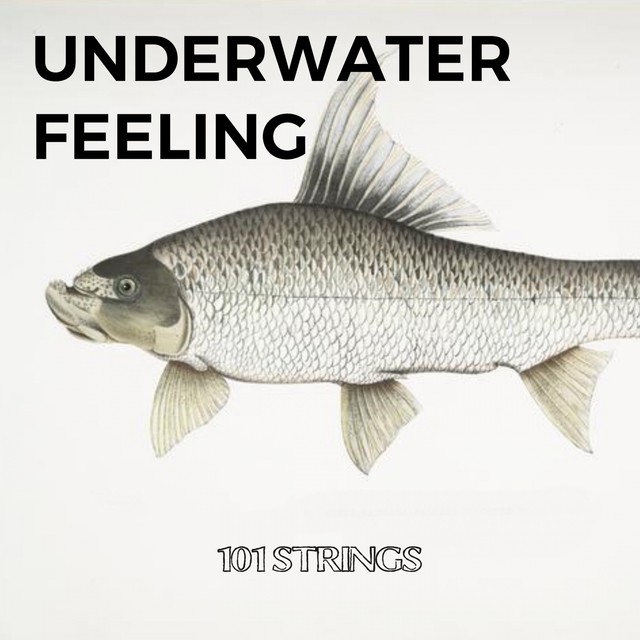 Couverture de Underwater Feeling