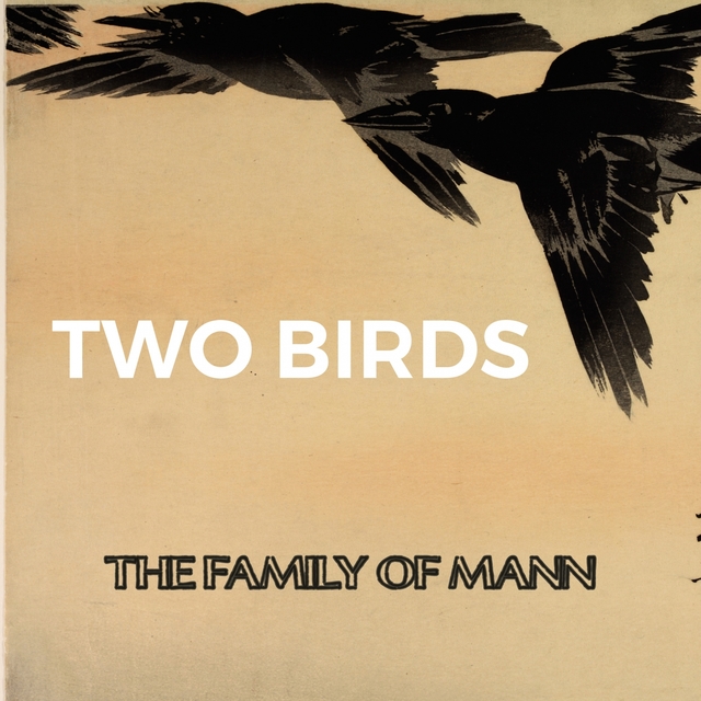 Couverture de Two Birds