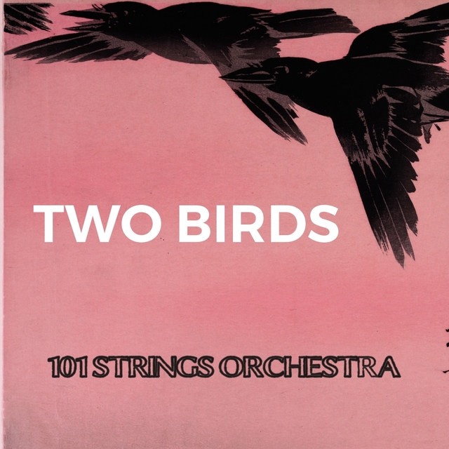 Two Birds