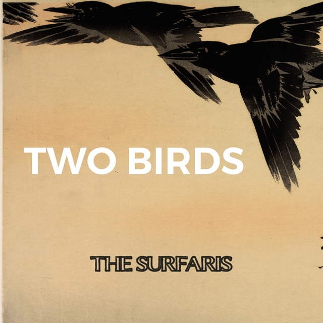 Two Birds