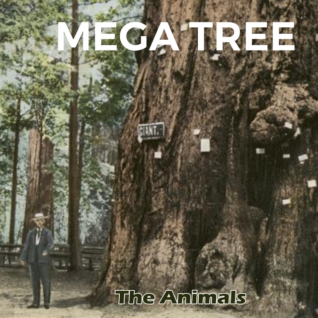 Couverture de Mega Tree