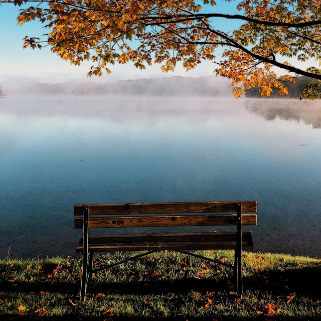 Beautiful Loneliness