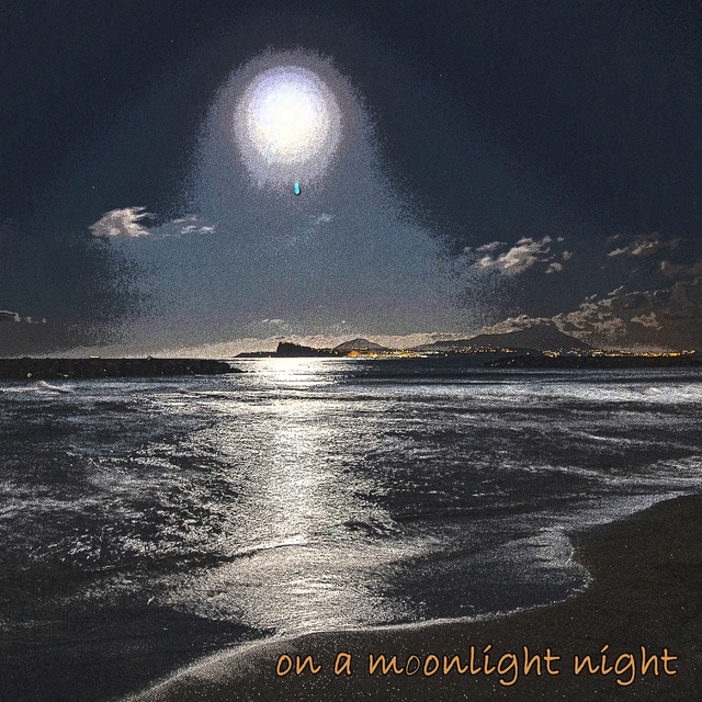 Couverture de On a Moonlight Night