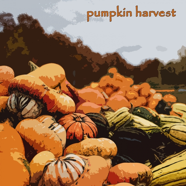 Couverture de Pumpkin Harvest