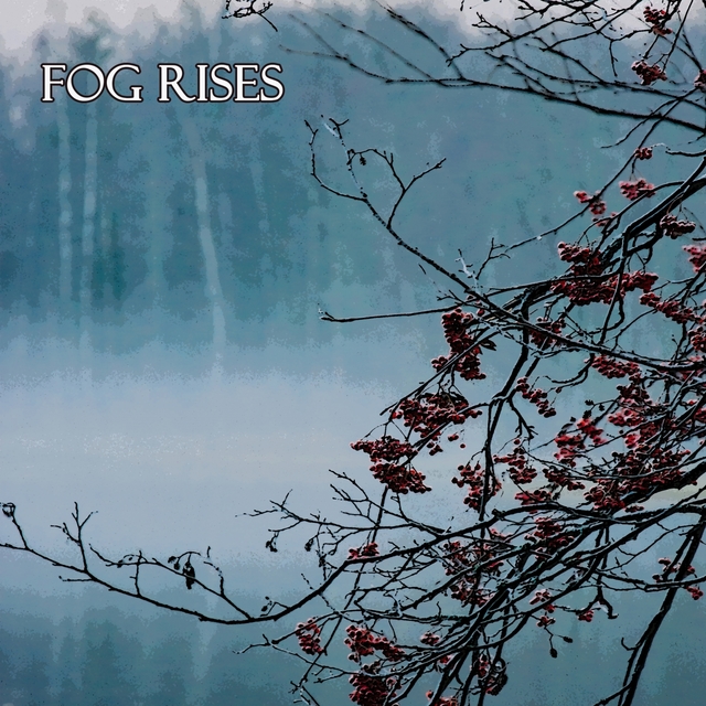 Couverture de Fog Rises