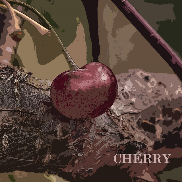 Couverture de Cherry