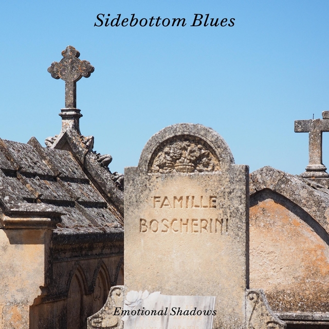 Couverture de Sidebottom Blues