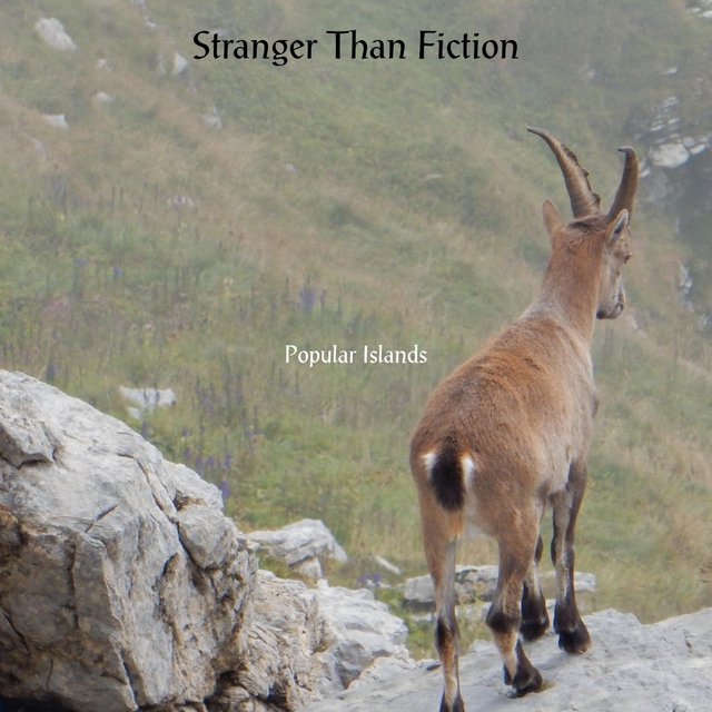 Couverture de Stranger Than Fiction