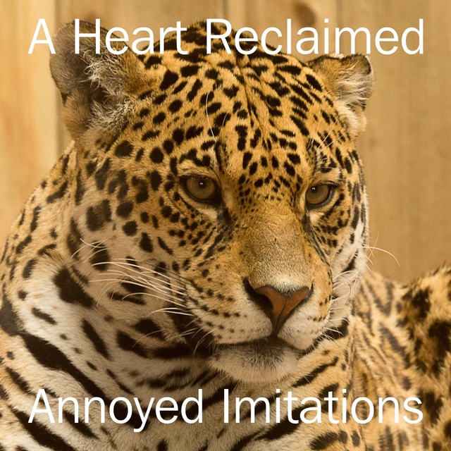 A Heart Reclaimed